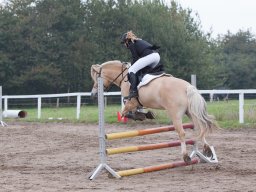 IMG_7972_web